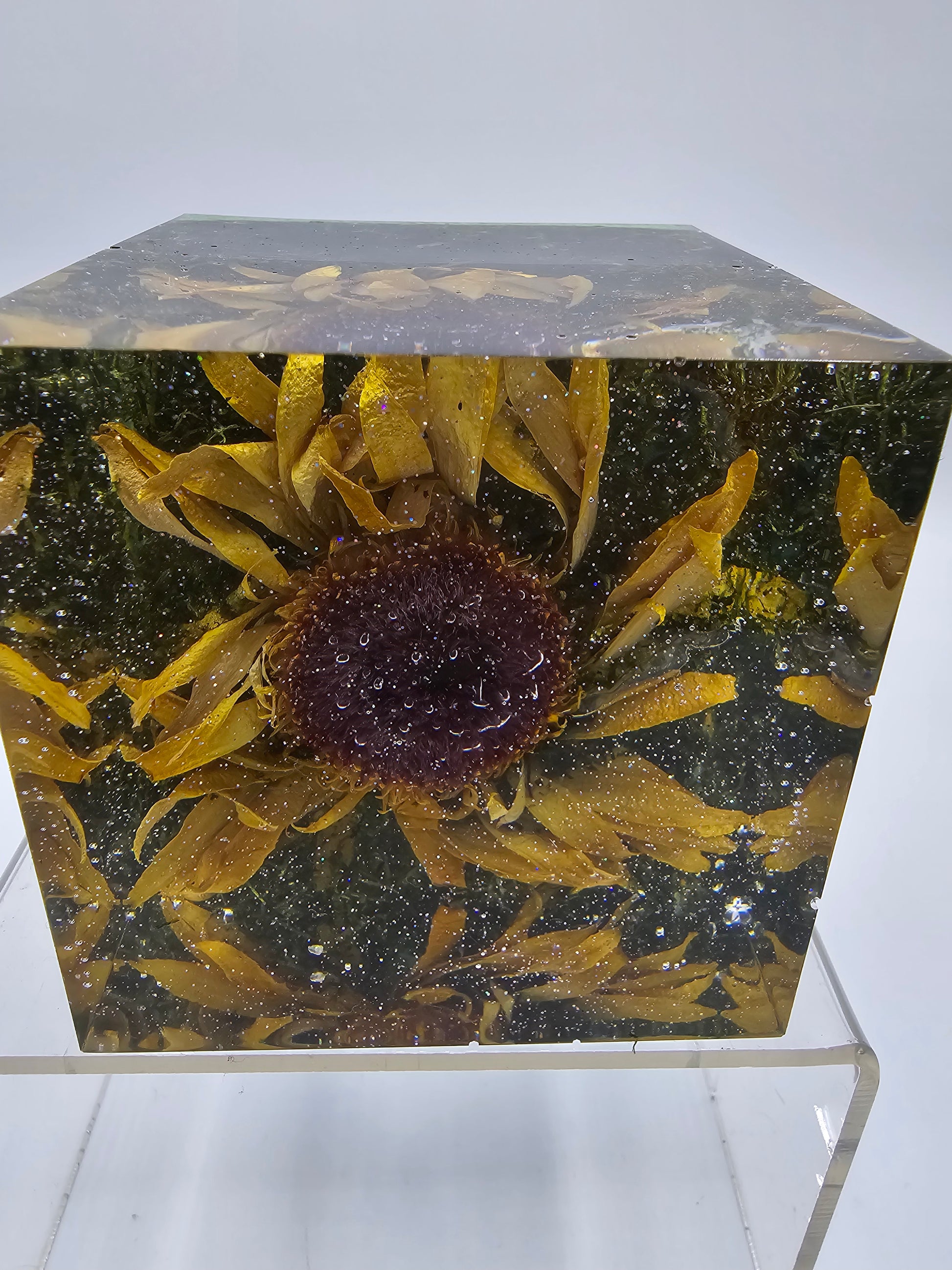 Clear resin cube encasing a preserved sunflower, with vibrant yellow petals and a textured center, creating a stunning 3D floral display from all angles